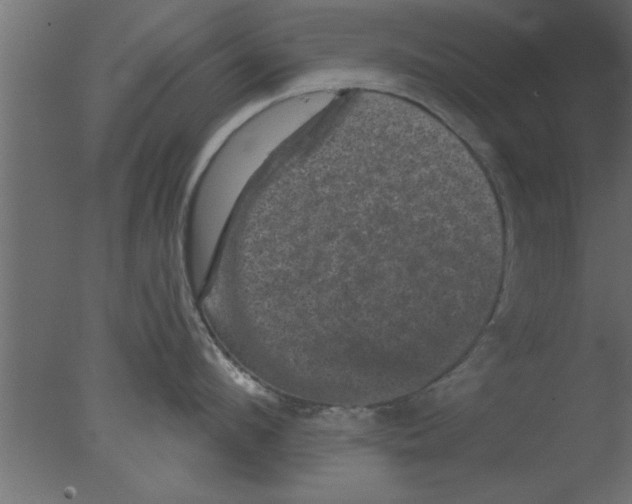 X0000076030912200610201824