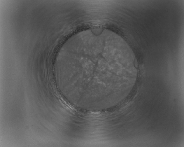 X0000076030913200610201823