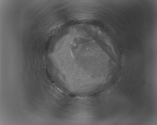 X0000076030917200610201823