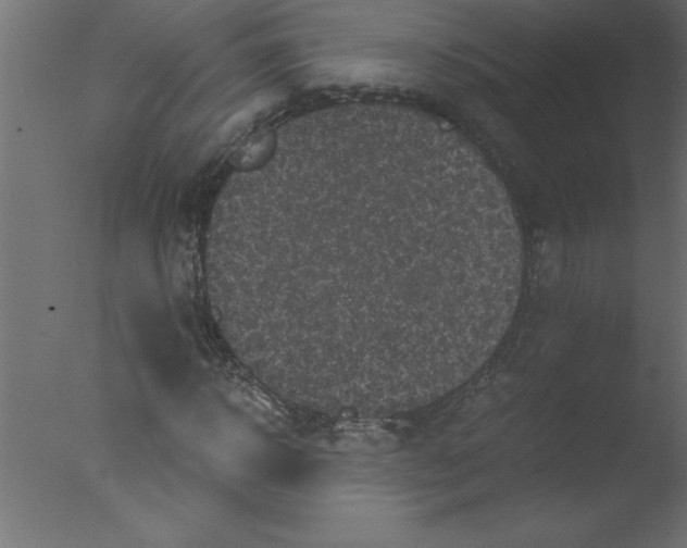 X0000076030918200610201823