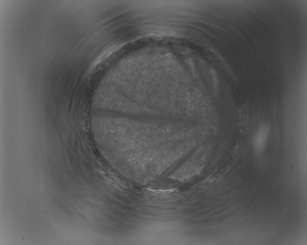 X0000076030919200610201823