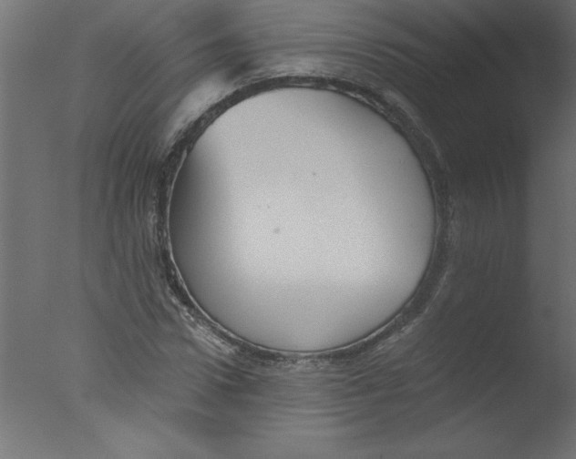 X0000076030922200610201823