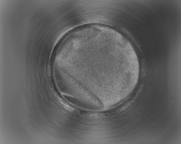 X0000076030924200610201823