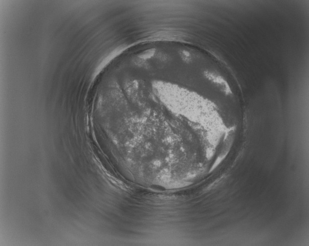 X0000076030925200610201823