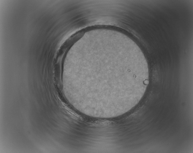 X0000076030926200610201823