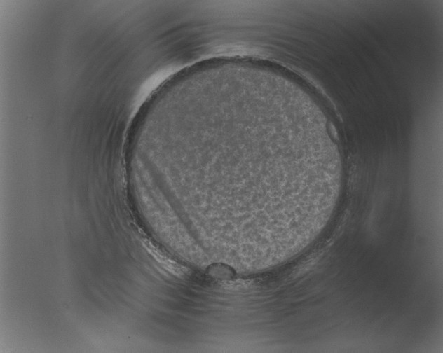 X0000076030927200610201823