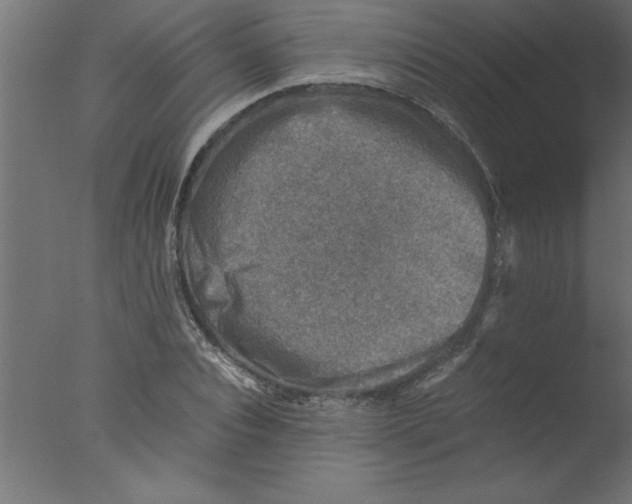 X0000076030928200610201823