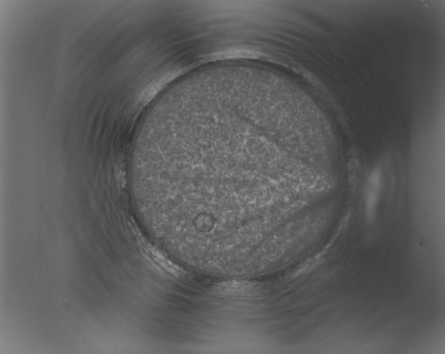 X0000076030929200610201823