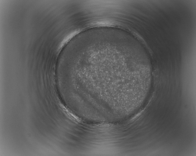 X0000076030930200610201823