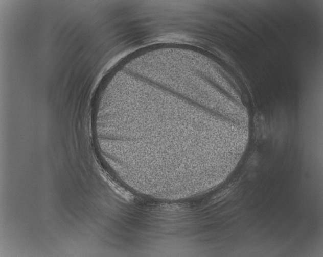 X0000076030931200610201823