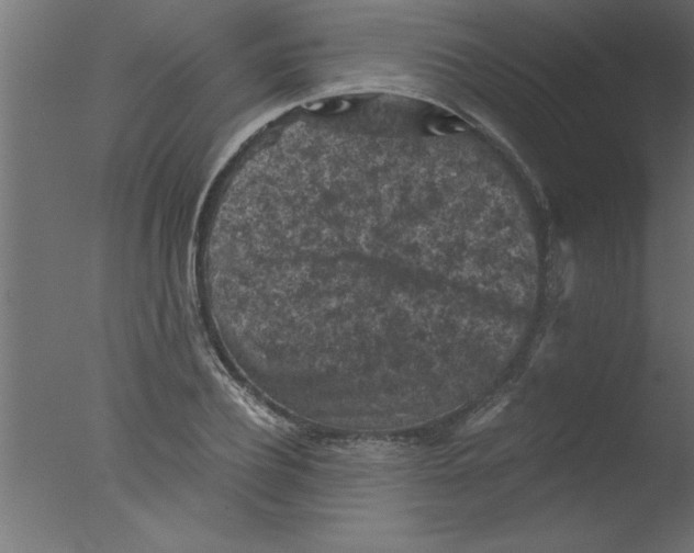 X0000076030932200610201823