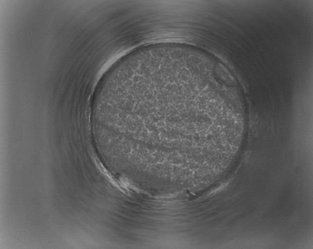 X0000076030933200610201823