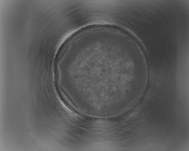 X0000076030935200610201823