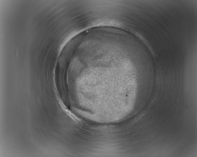 X0000076030936200610201823