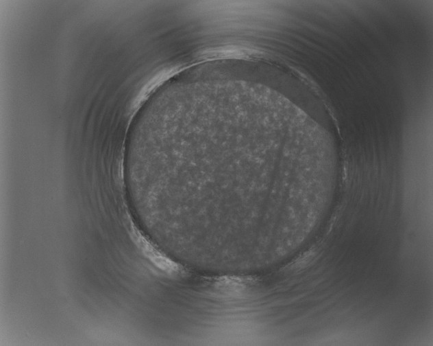 X0000076030938200610201823