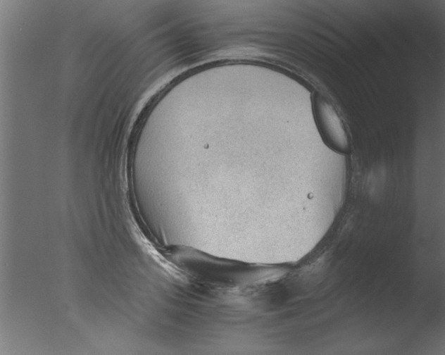 X0000076030939200610201823