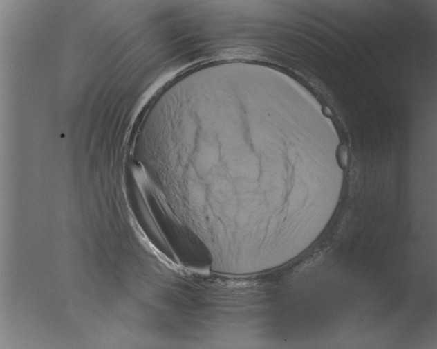 X0000076030941200610201823