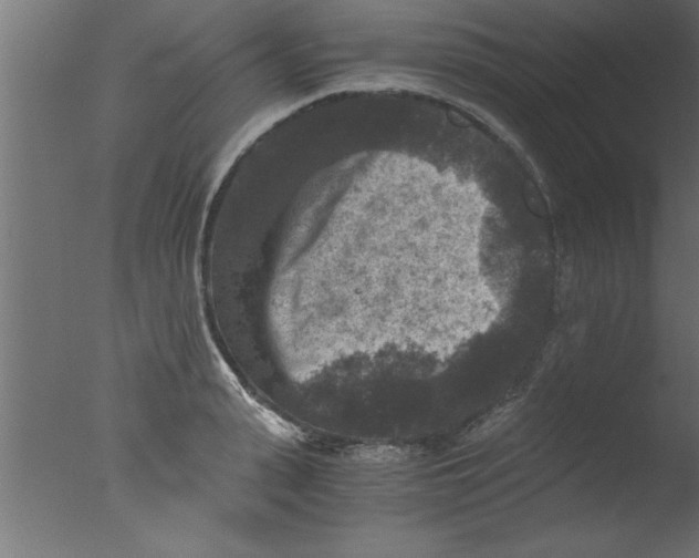 X0000076030943200610201823