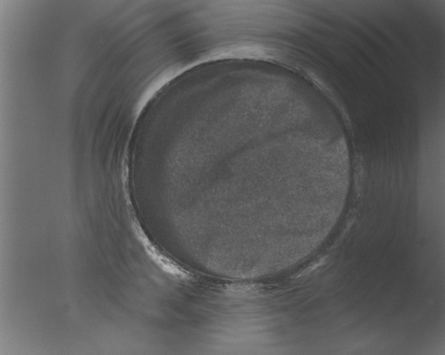 X0000076030944200610201823