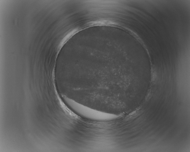 X0000076030946200610201823