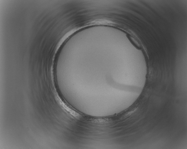 X0000076030947200610201823