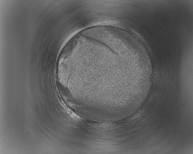 X0000076030948200610201823