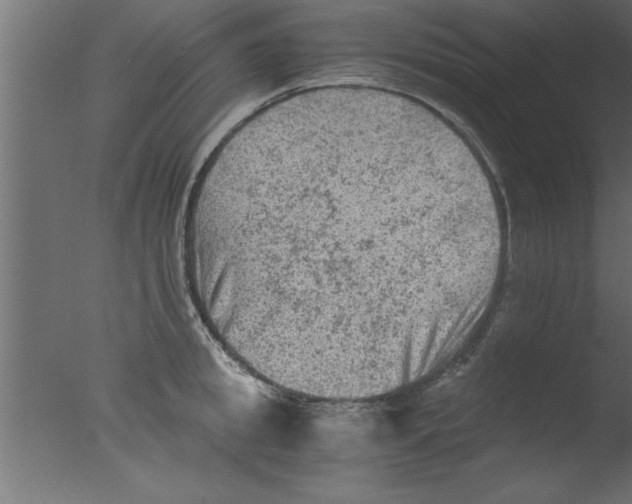 X0000076030949200610201823