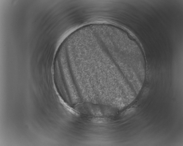 X0000076030951200610201823