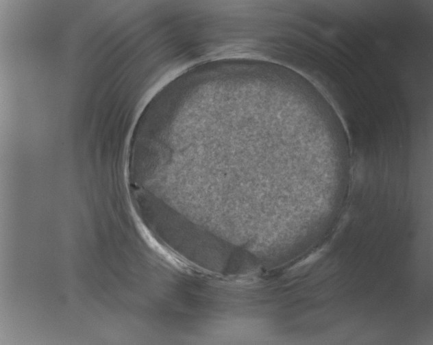 X0000076030957200610201824