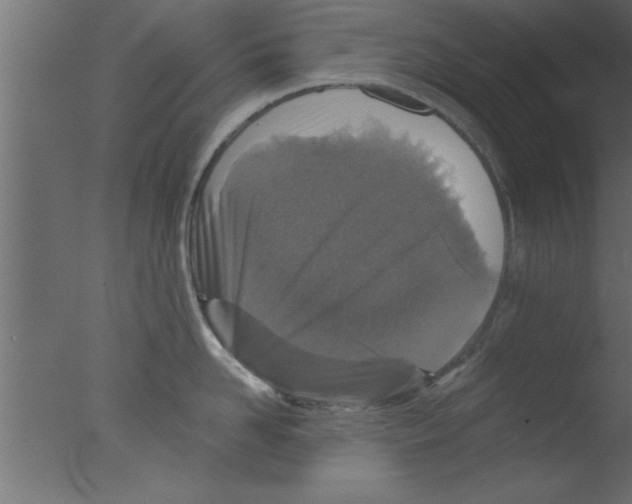 X0000076030958200610201824