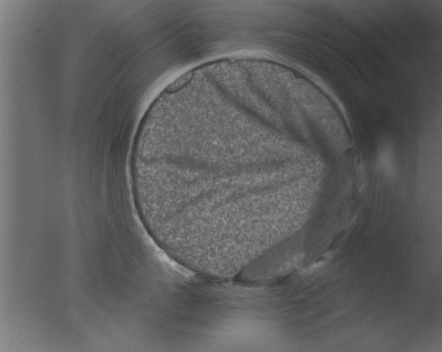 X0000076030959200610201824