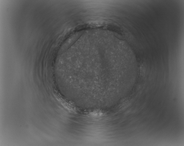 X0000076030961200610201823