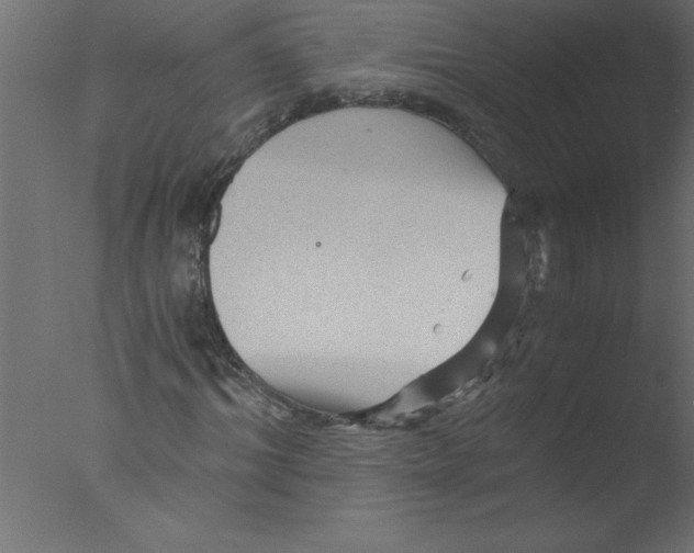 X0000076030964200610201823