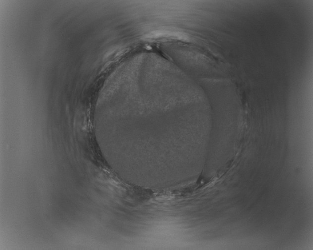 X0000076030965200610201823