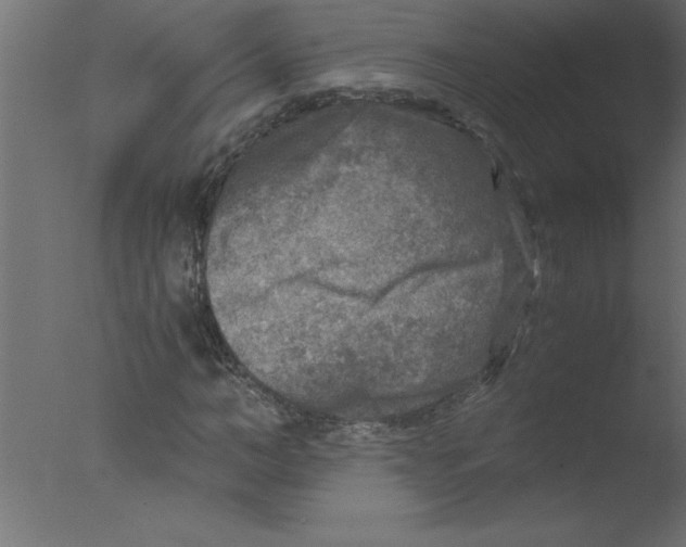 X0000076030966200610201823