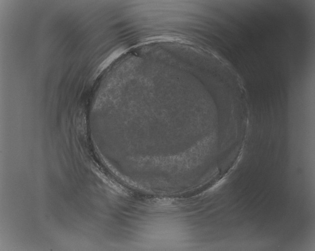 X0000076030969200610201823