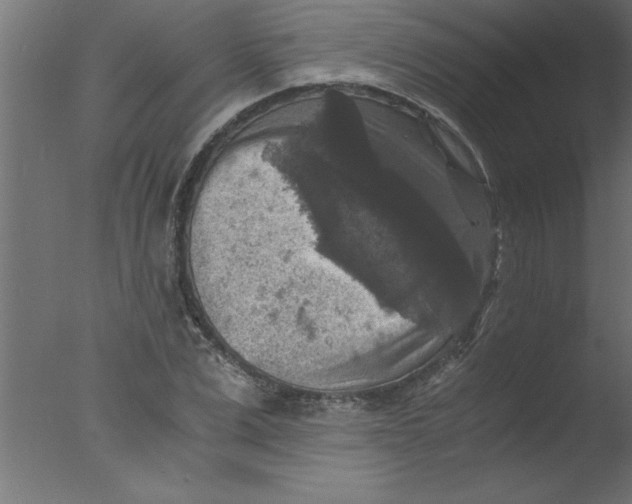 X0000076030975200610201823