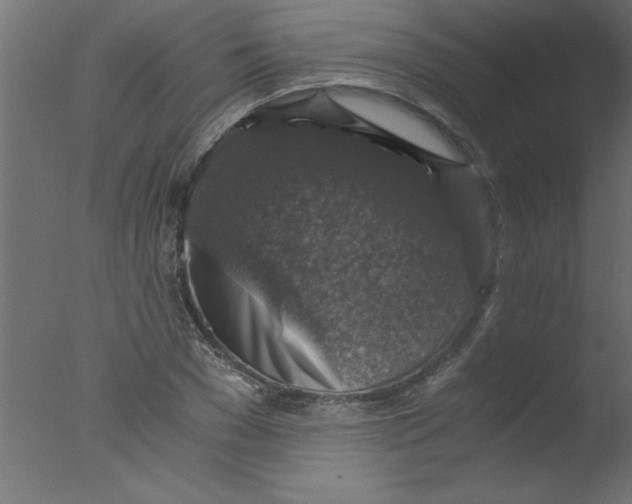 X0000076030977200610201823