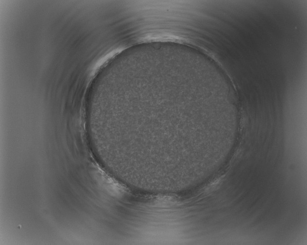 X0000076030979200610201823