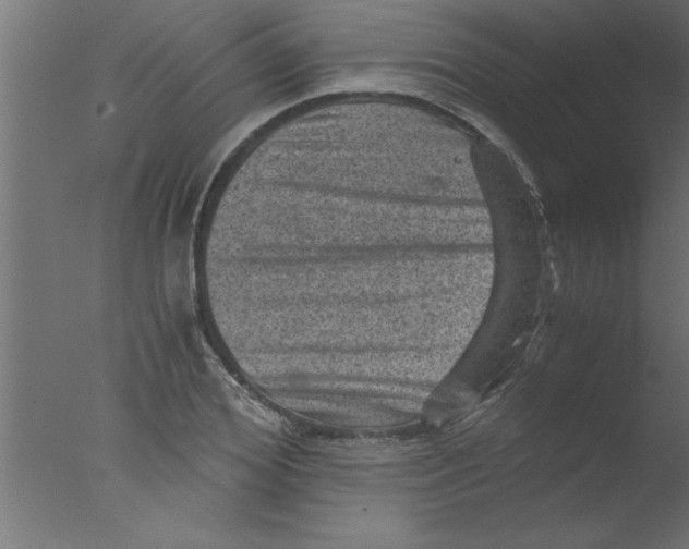 X0000076030980200610201822