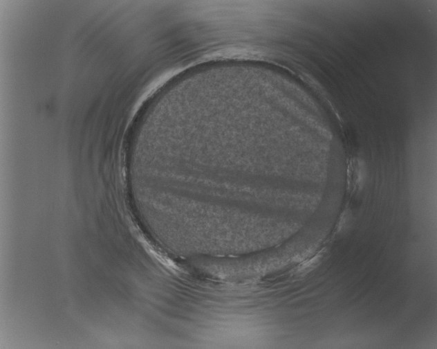 X0000076030981200610201822