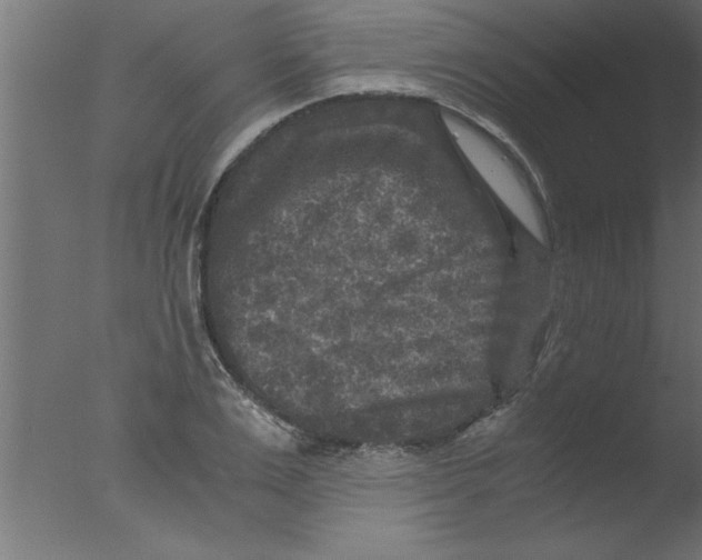 X0000076030983200610201822