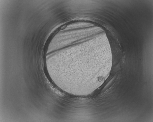 X0000076030984200610201822