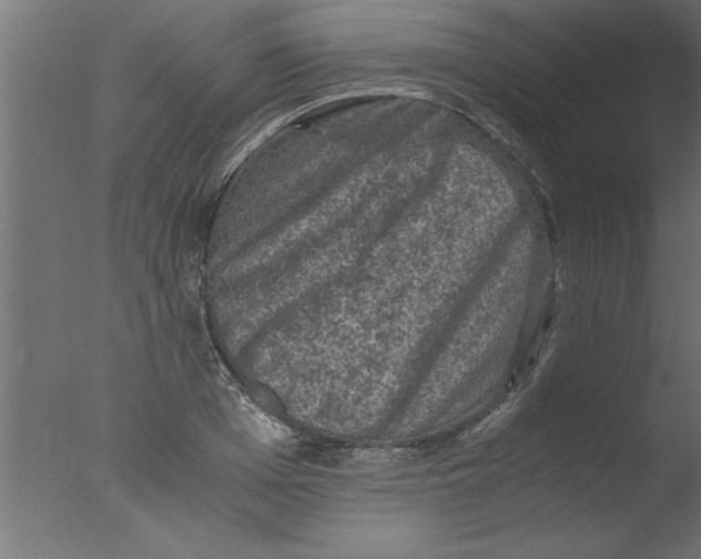 X0000076030985200610201822