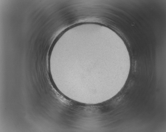 X0000076030988200610201822