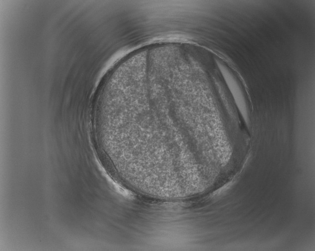 X0000076030989200610201822