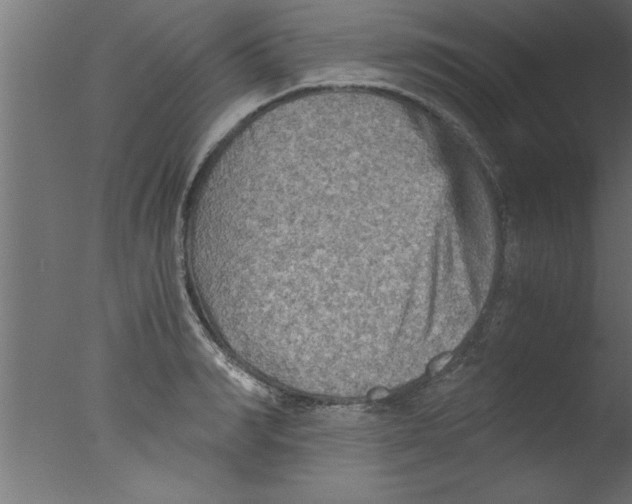 X0000076030990200610201822