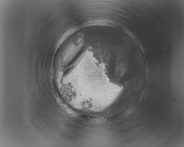 X0000076030994200610201822