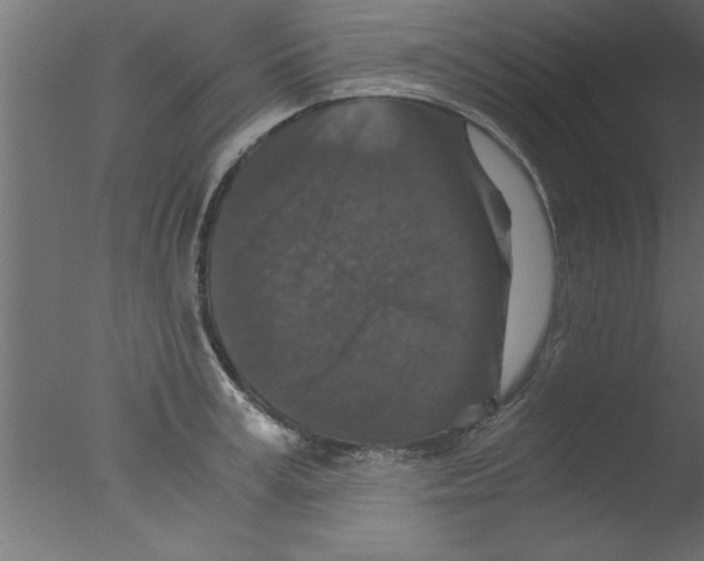 X0000076030995200610201822