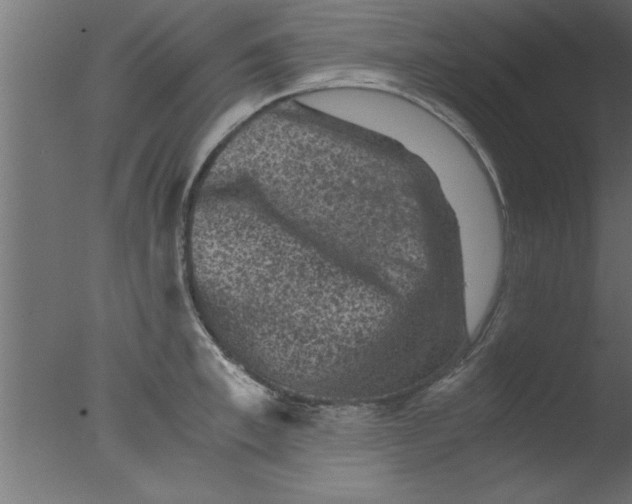 X0000076030997200610201822